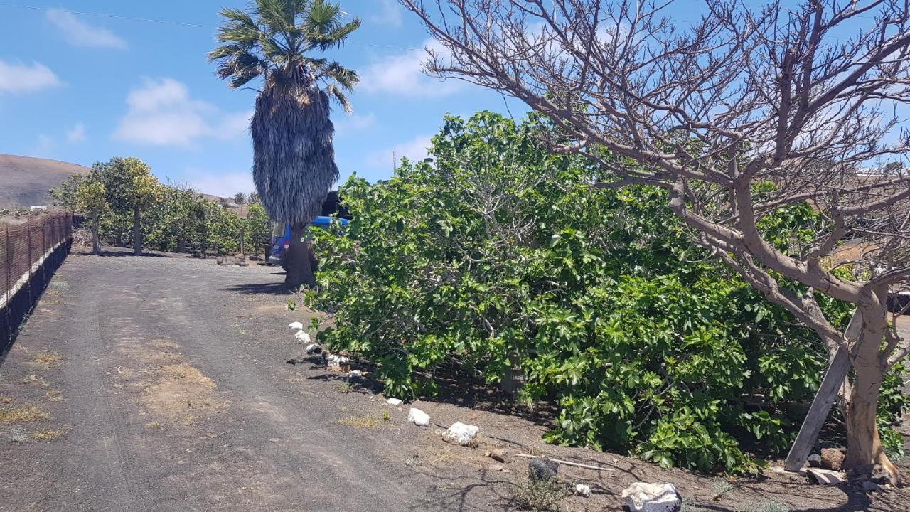 Finca Relax, Sea View, Oasis Vasiliko, La Asomada Tías Dış mekan fotoğraf
